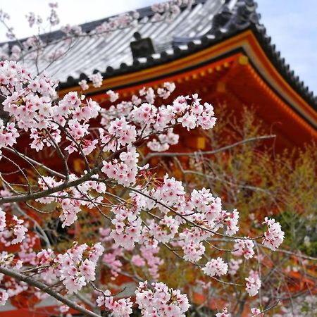 Stay Sakura Kyoto Matsuri Exteriér fotografie