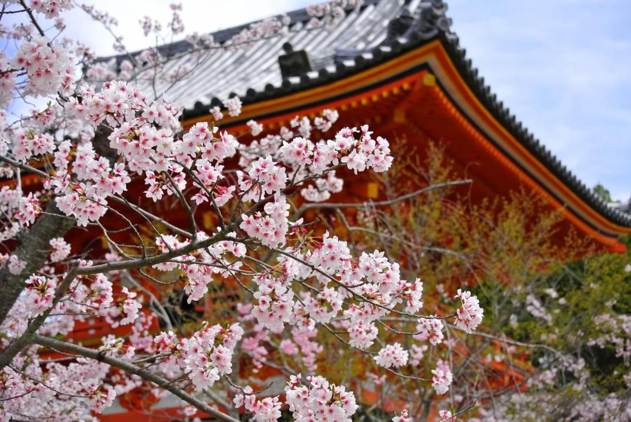 Stay Sakura Kyoto Matsuri Exteriér fotografie